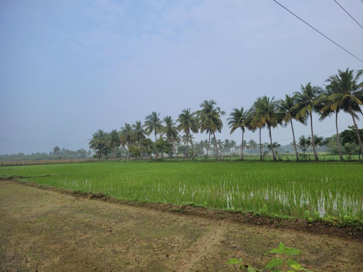 Tanjore Home Stay Thanjavur Exterior foto