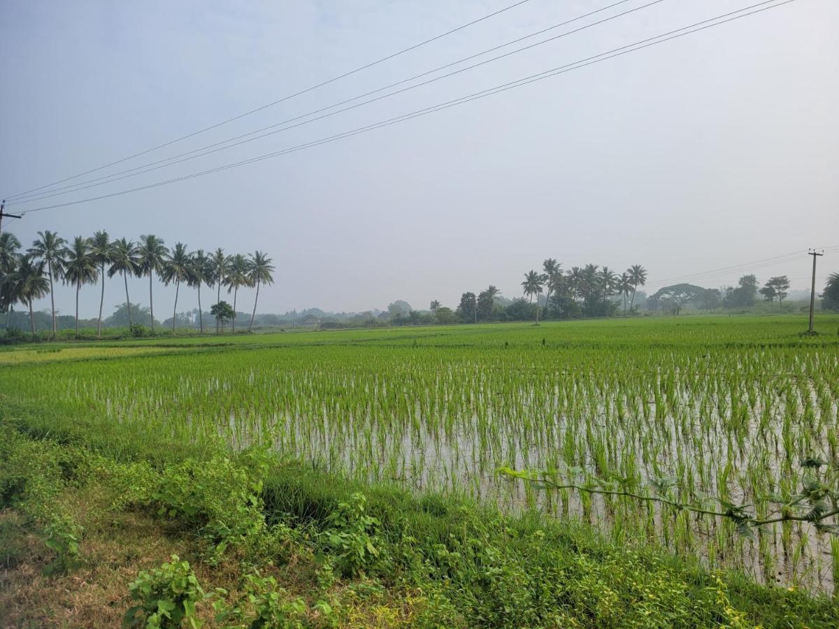 Tanjore Home Stay Thanjavur Exterior foto