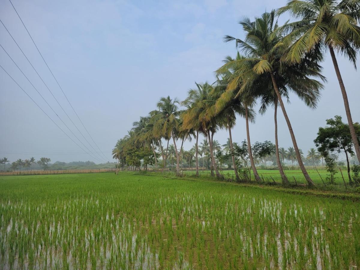 Tanjore Home Stay Thanjavur Exterior foto